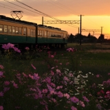 電鉄石田駅～電鉄黒部駅 区間