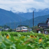 栃屋駅～浦山駅 区間