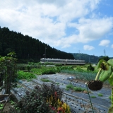 浦山駅～下立口駅 区間